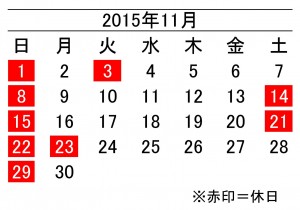 年間カレンダー11